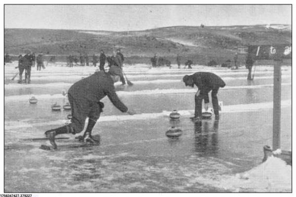 新人入坑《逆水寒》手游，这些玩法你必须知